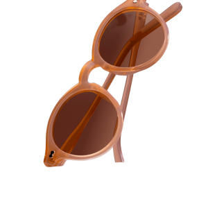 glasses-with-slightly-rounded-frame (1)